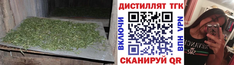 ТГК концентрат  Купить закладки  Верхняя Пышма 
