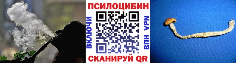 Псилоцибиновые грибы Psilocybe Купить закладки Верхняя Пышма
